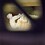 lrd_frza